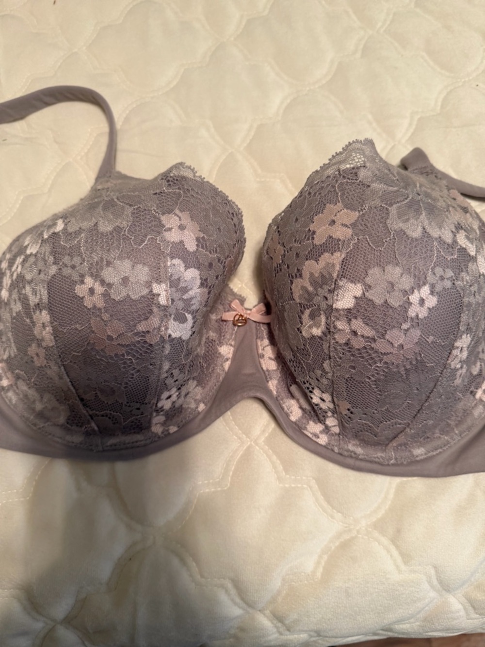 Victoria's Secret Lace Push-Up Bra in Light Gray with Pale Pink Accents